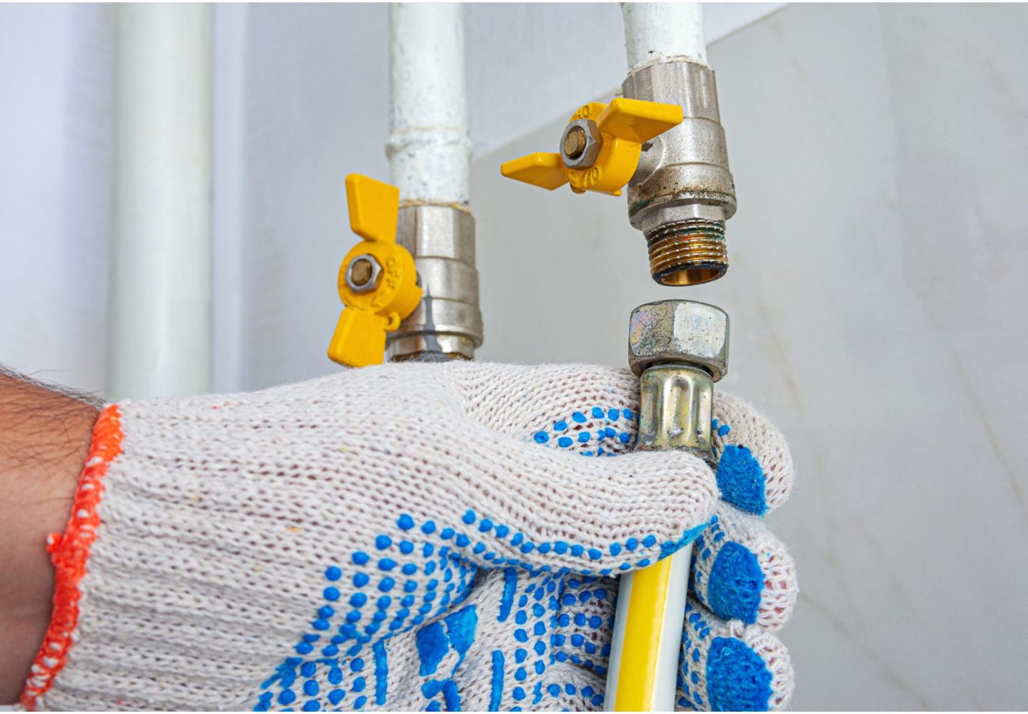 Untitled design (21)